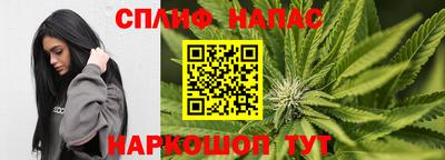 меф Кингисепп