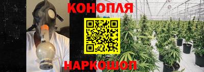 меф Кингисепп