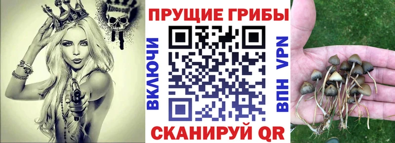 Галлюциногенные грибы мицелий  закладки  Кунгур 