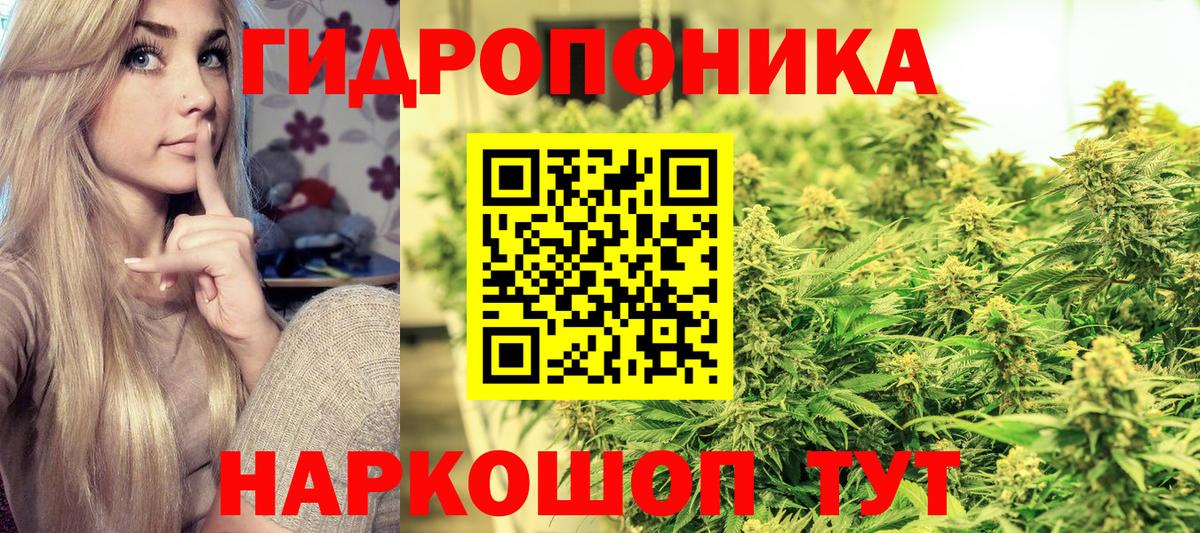 Каннабис семена  Канабис OG Kush  Кунгур  Вход с VPN 